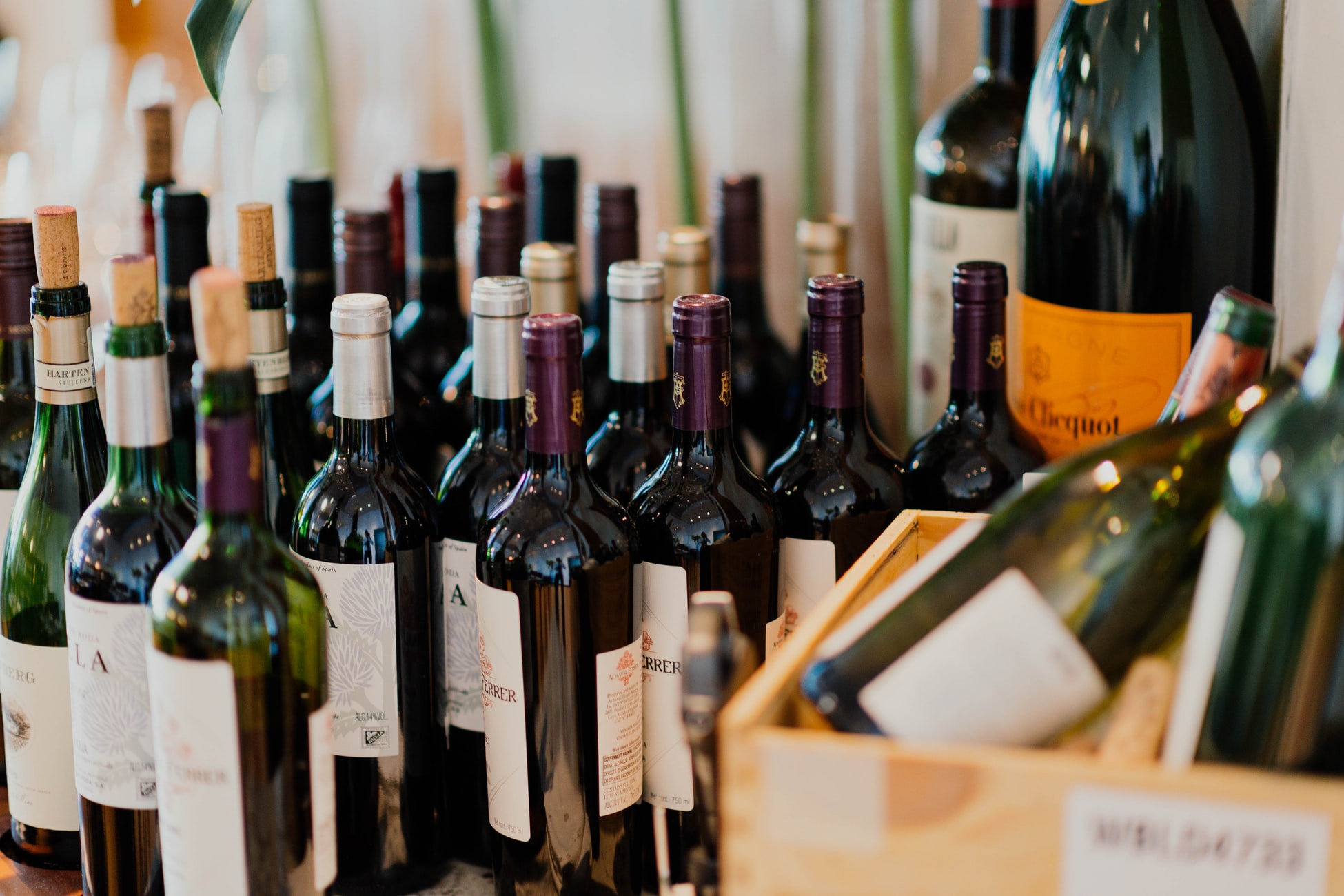 Key Insights on India's Wine Industry